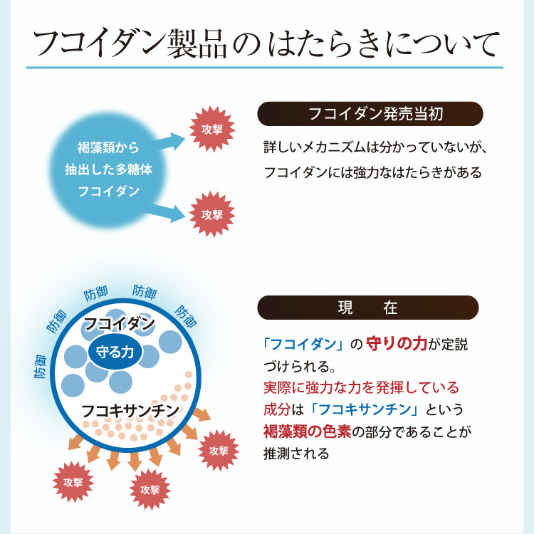 高分子低分子吸収イメージ①