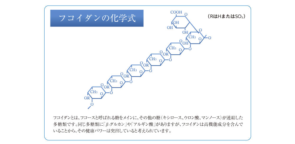 フコイダンの化学式