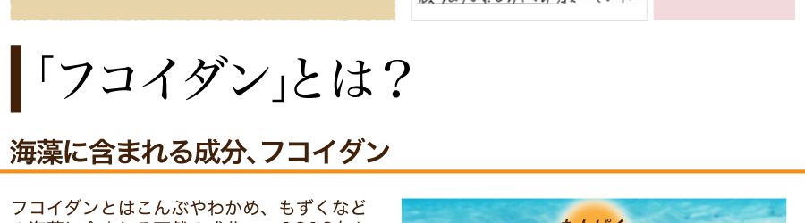 フコイダンとは？