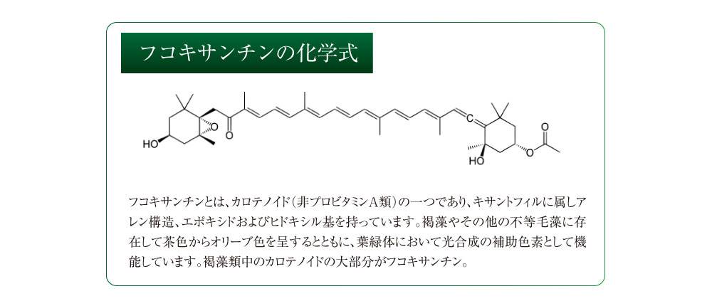 フコキサンチンの化学式。フコキサンチンとは、カロテノイド（非プロビタミンA類）の一つであり、キサントフィルに属しアレン構造、エポキシドおよびヒドキシル基を持っています。褐藻やその他の不等毛藻に存在して茶色からオリーブ色を呈するとともに、葉緑体において光合成の補助色素として機能しています。褐藻類中のカロテノイドの大部分がフコキサンチンが占めます。
